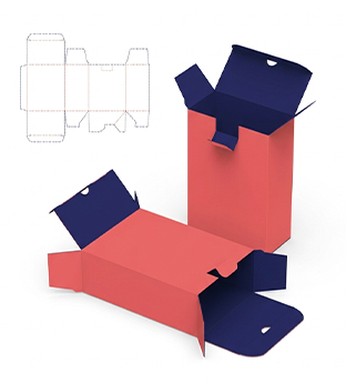 Reverse Tuck End Boxes