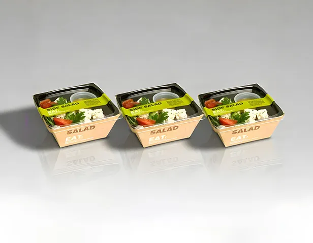 wholesale salad boxes wholesale salad boxes