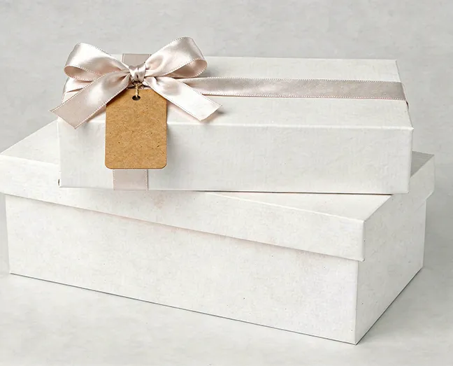 White Kraft Boxes-3