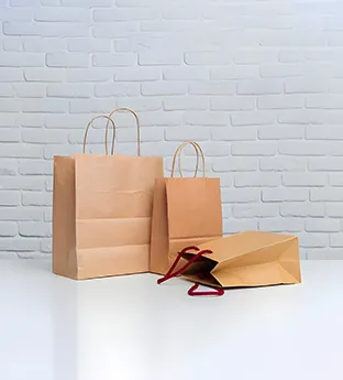 Kraft Paper Bags