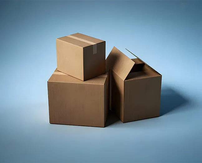 Corrugated Folding Cartons-2