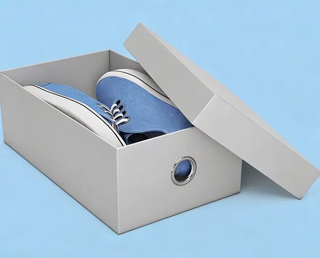 Rigid Shoe Boxes-1