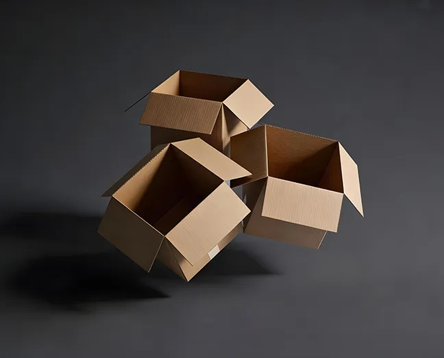 Corrugated Folding Cartons-3