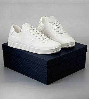 Rigid Shoe Boxes
