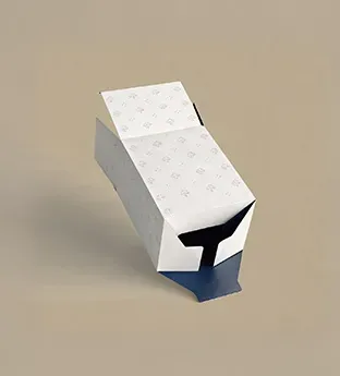 Snap Lock Bottom Boxes