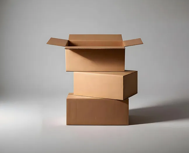 Corrugated Folding Cartons-4